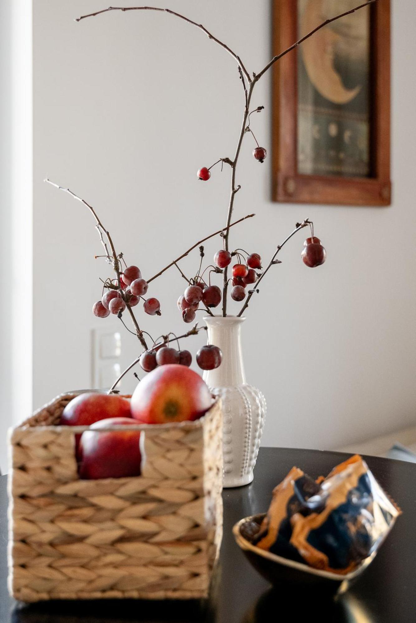 Apartament Pulaskiego Z Garazem Stary Toruń 외부 사진